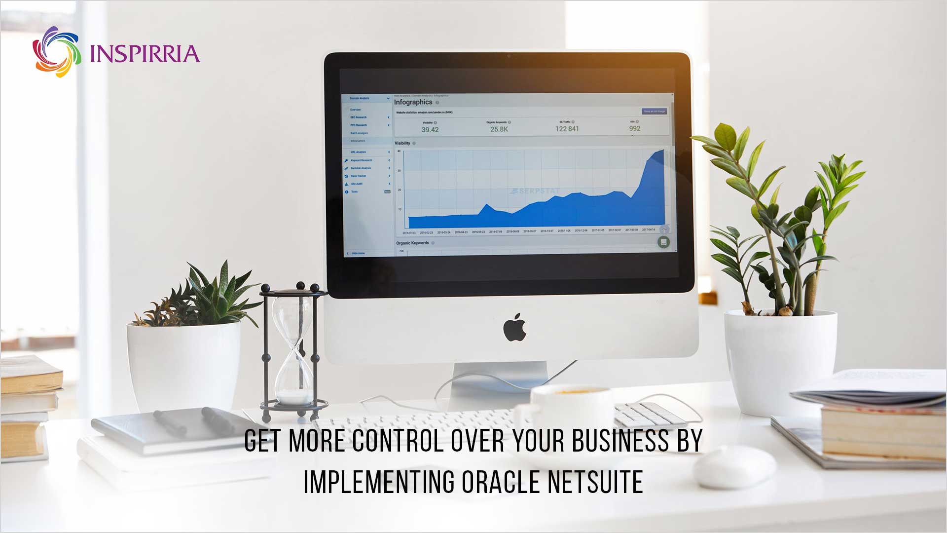 NetSuite Project Management .