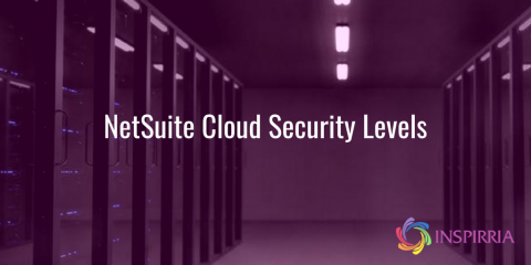 NetSuite Cloud Security Levels